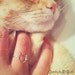 Cat Ring - handmade - Sterling Silver 925 - 16 gauge - gift packing