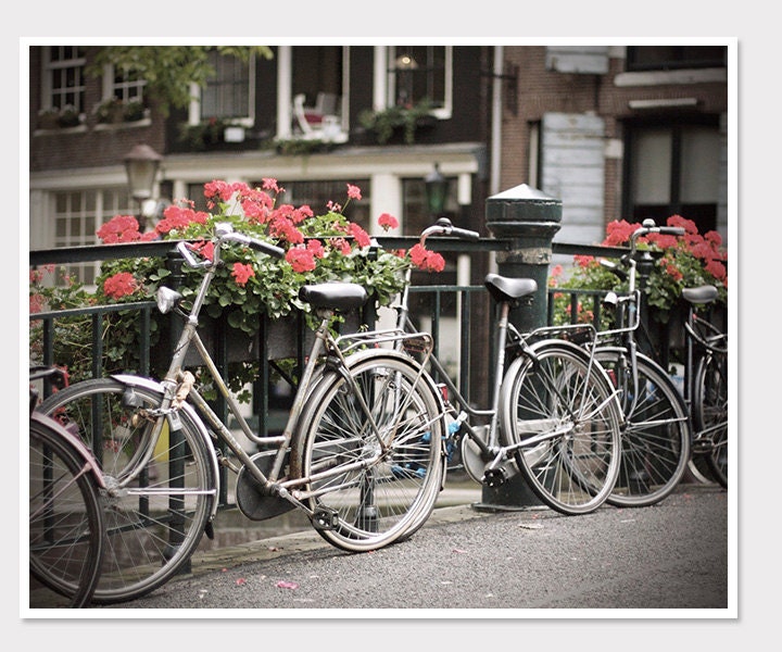Amsterdam Bike Photo-Dutch Bikes-Canals-Red Flowers-Vintage Style Travel Photography-8x10