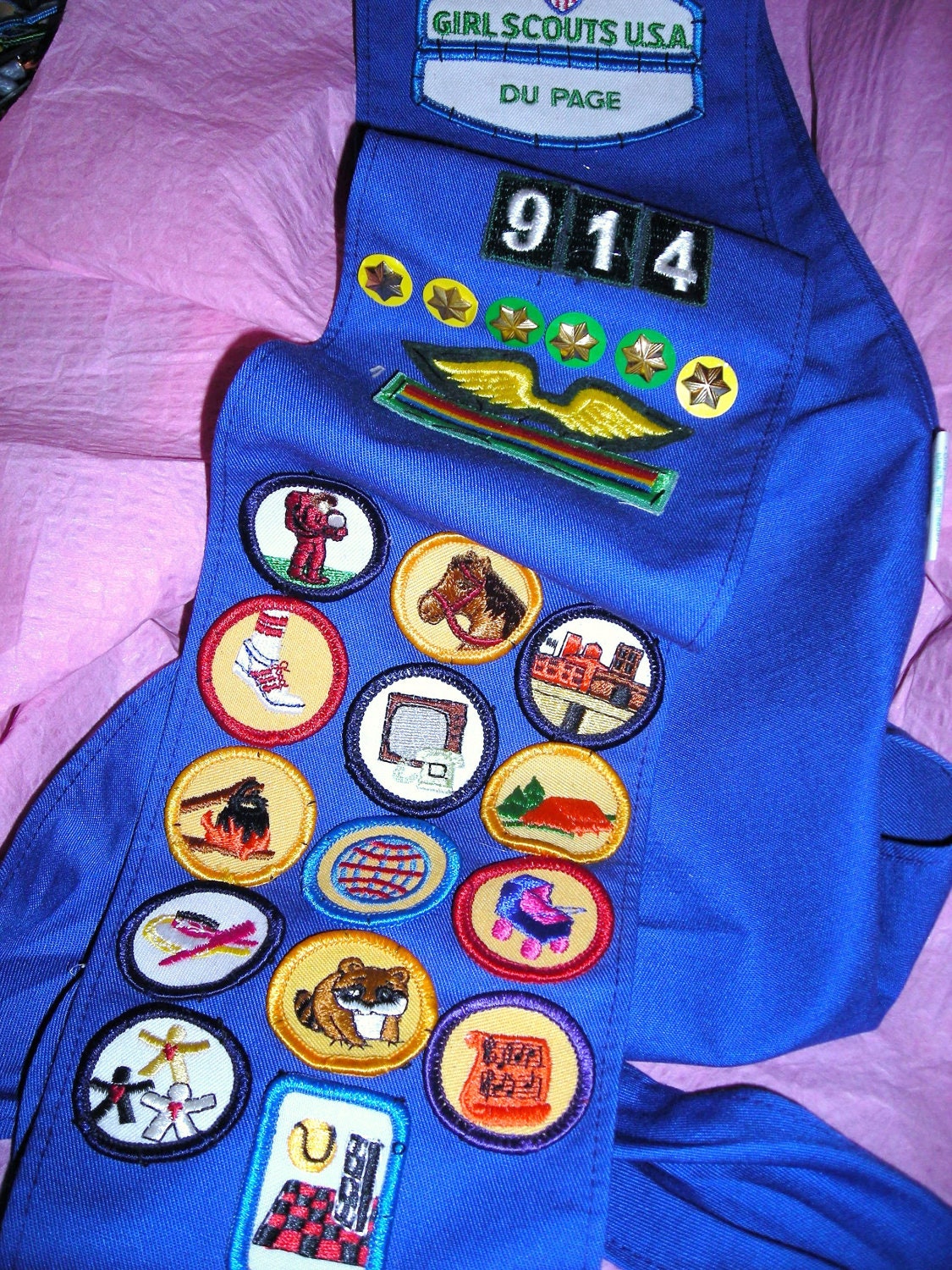 Astronaut Badges