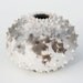 Spiked Ceramic Pot - Sawdust Fired