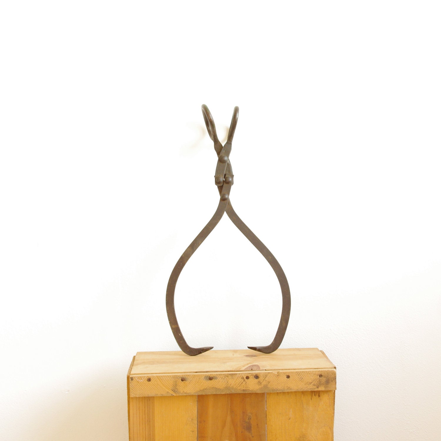 Cast Iron Ice Tongs - 1930's - Cottage Chic - Rustic Decor