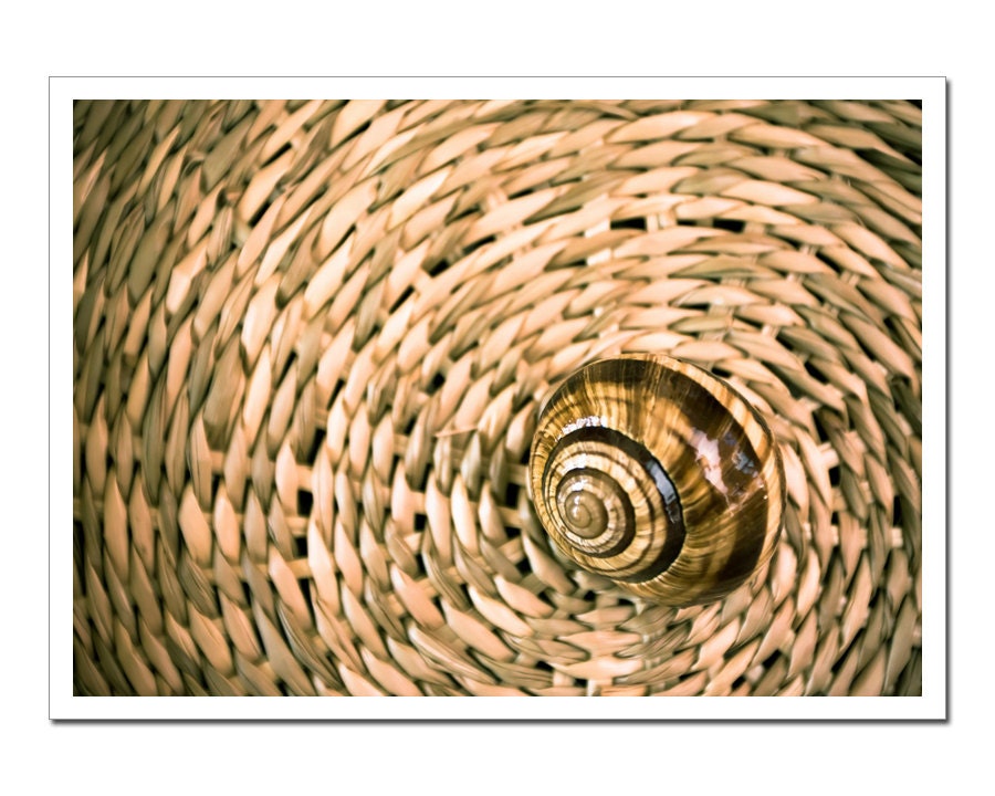 Still Life Photography, Fine Art Photography, Snail on a hay basket rustic brown beige farm harvest halloween 5x7 autumn