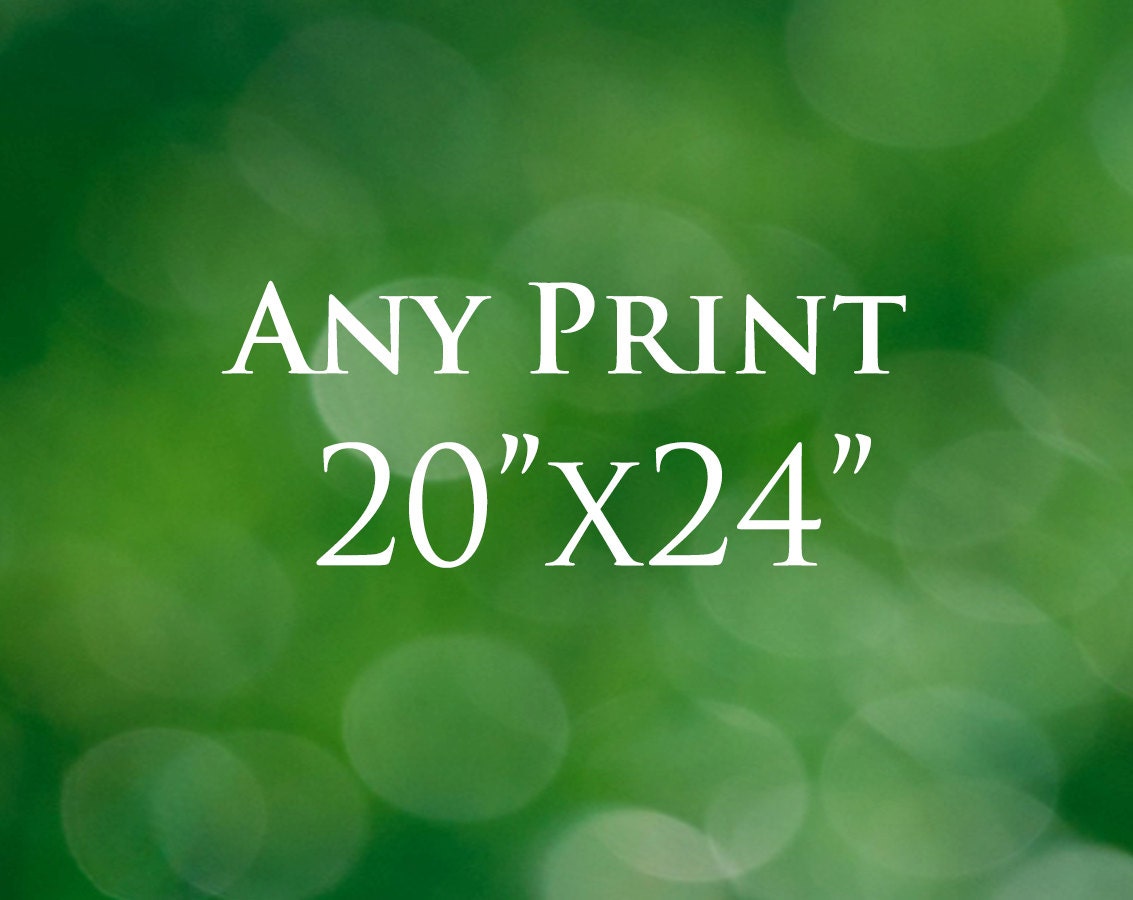 Fine Art Photography 20x24 Canvas or Photograph Print Choose Any Photo Customizable