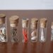RESERVED for Amanda Gomand. Secrets of the sea: Marine animals in vintage vials.