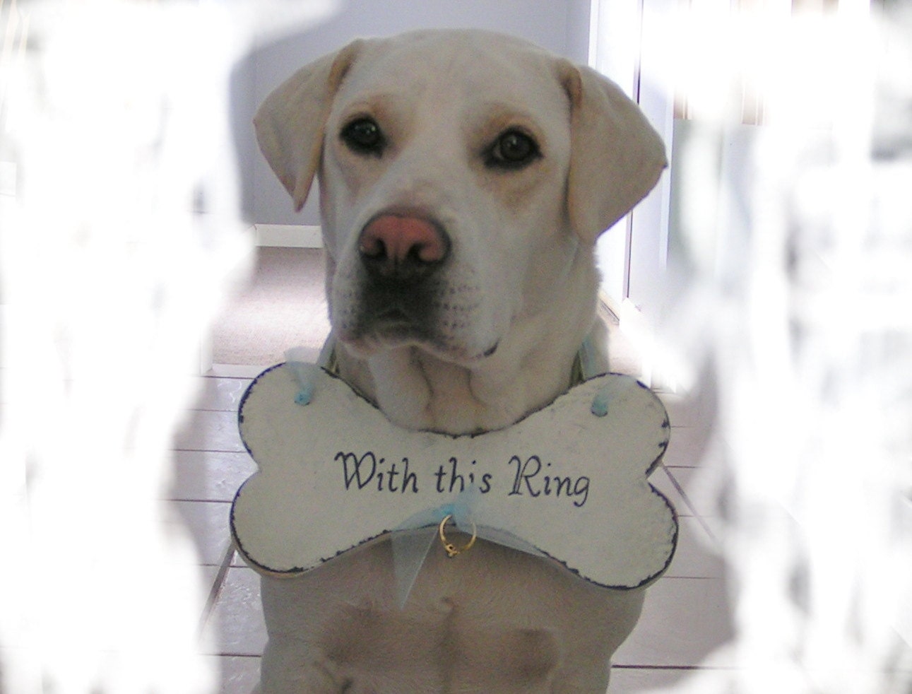 RING BEARER Dog Bone
