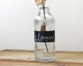 Vintage Pepsodent Antiseptic Mouthwash Apothecary Bottle with Black Chalkboard Label