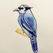 Bluejay-Original Watercolor Painting