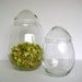Egg terrarium jars, apothecary jars, set of two