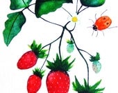 Strawberries Ladybugs Fruits Insects Original Painting Watercolor Ink Drawing Red Green Kitchen Decor Contemporary Art Fruits Animal Art