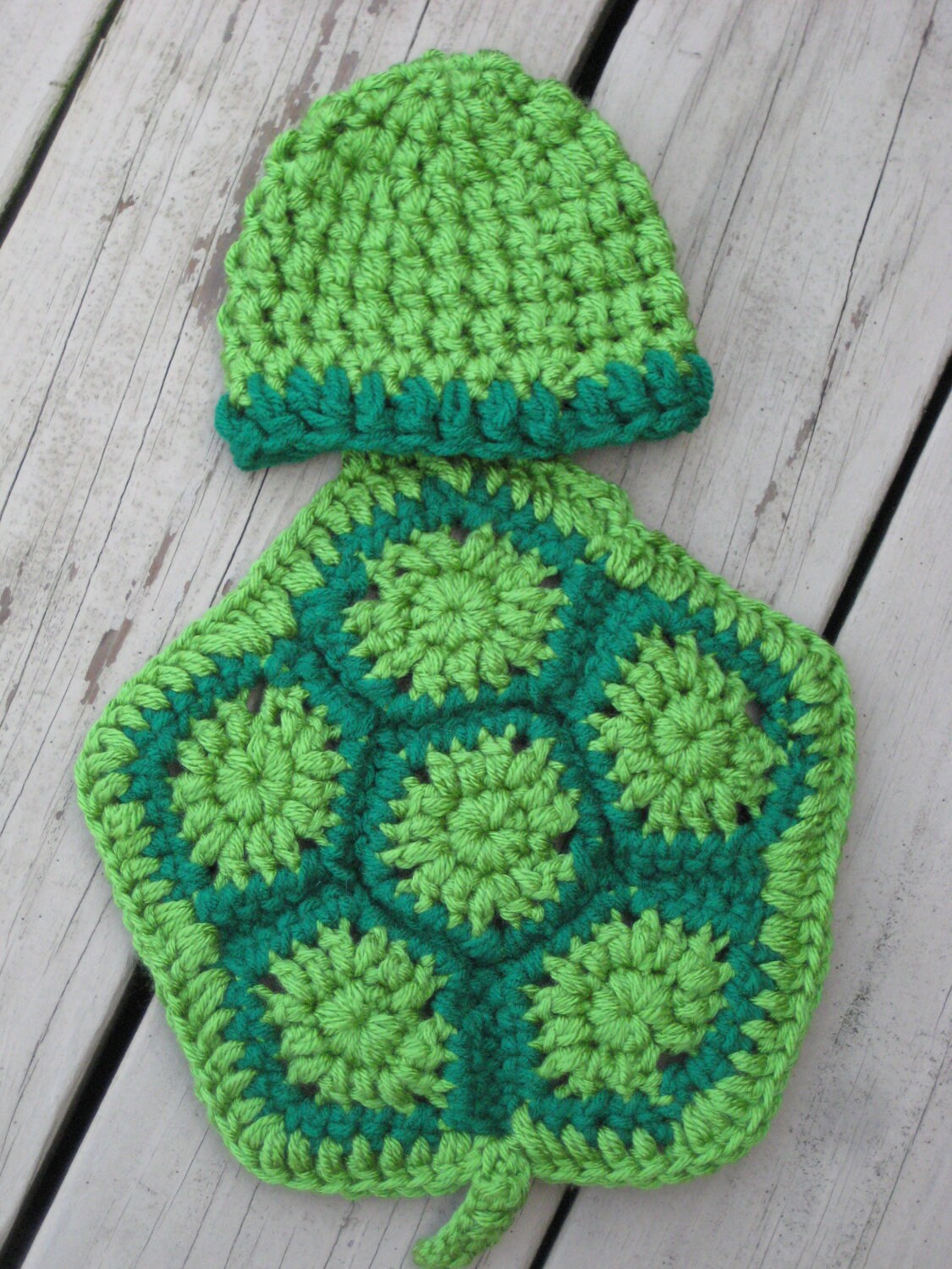 Turtle Beanie