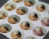 Chicks in Hats Round Sticker Variety Pack (48)