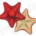 Iron transfer STARFISH red large digital image, digital download illustration 130