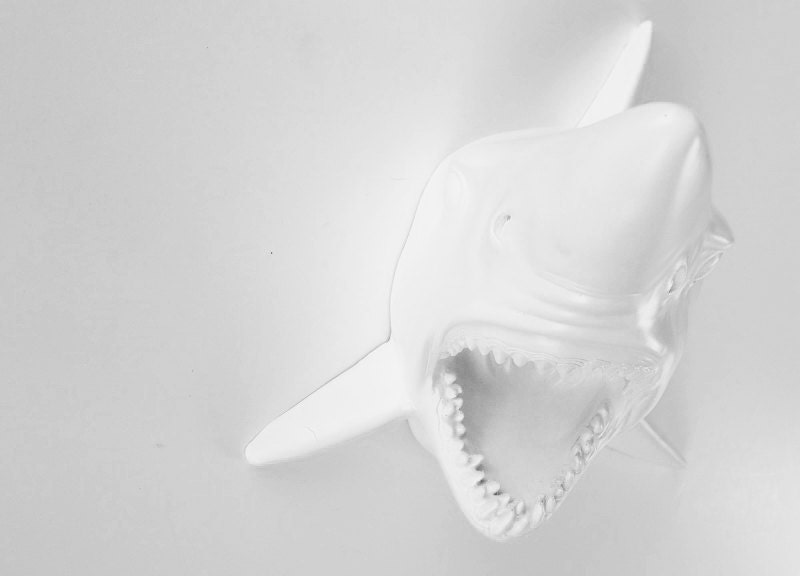White Faux Taxidermy - The Moffat - White Resin Shark Head- Shark Resin White Faux Taxidermy- Chic & Trendy