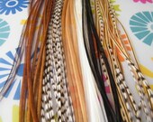 Hair Feathers Extensions, Fall Mix Colors