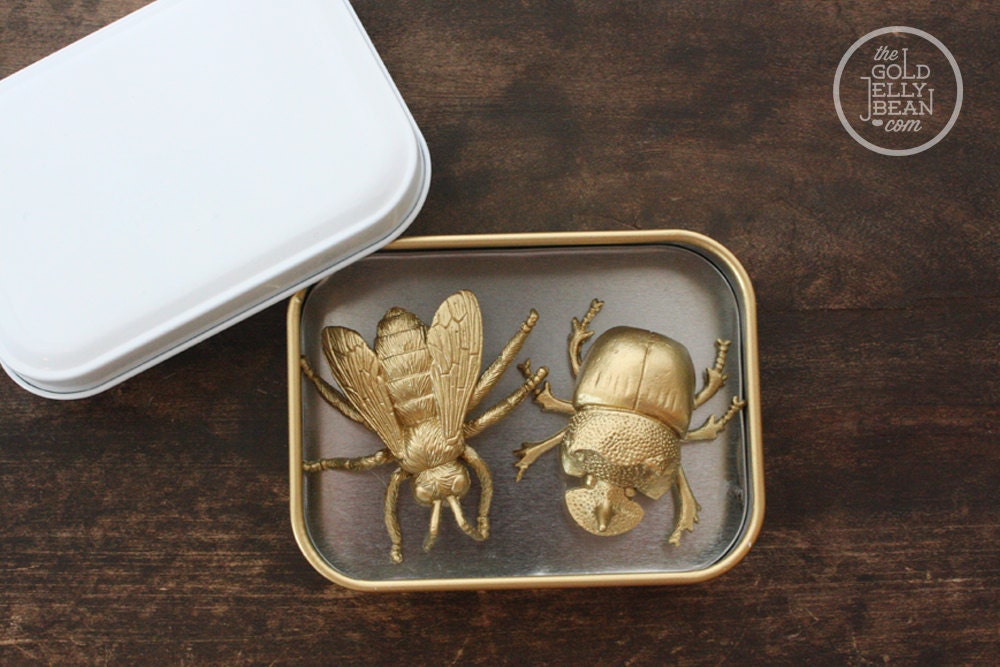 Fun Gold Insect Magnets