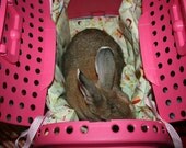 The Bun-velope - soft carrier liner for rabbits quilted yellow and pink child and bunny print fabric