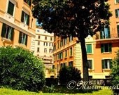 Secret Garden, Mediterranean Plants, Tree in City, Fine Art Photography, Italy, Rome, 12x7.63"