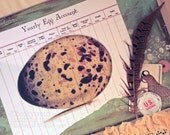 Every Egg Counts, 16x20 Hardpanel board mixed media original, 3D