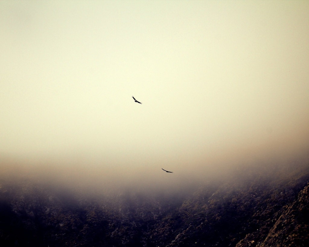 Two Hawks Take Flight Over Foggy Big Sur California Mountains - ByWayOfPhotography