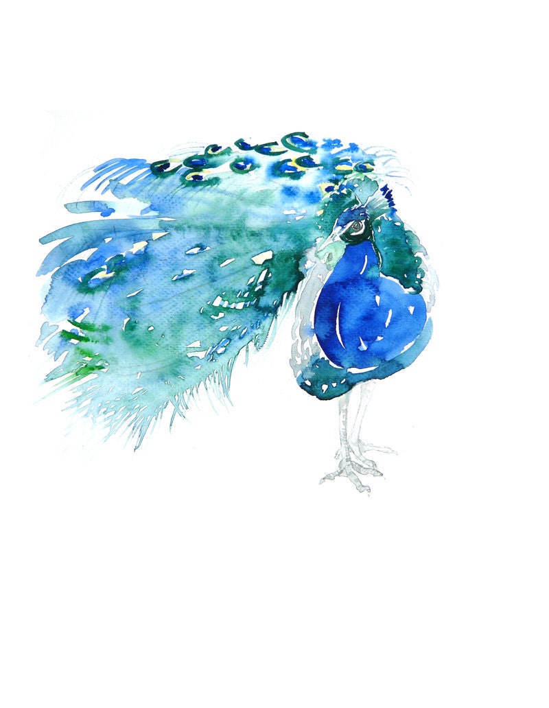 SALE -20% LARGE ART Peacock  20"x30"  Print of Original Watercolor painting , signed and dated