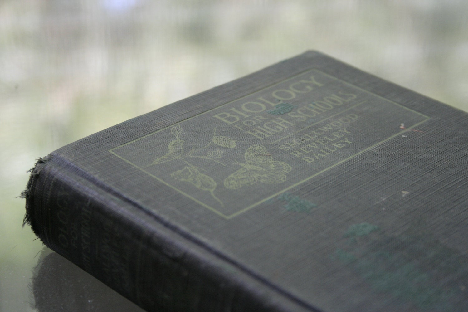Biology for High Schools - 1920 - Vintage Textbook