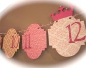 12 month picture banner princess theme newborn to one year birthday picture banner