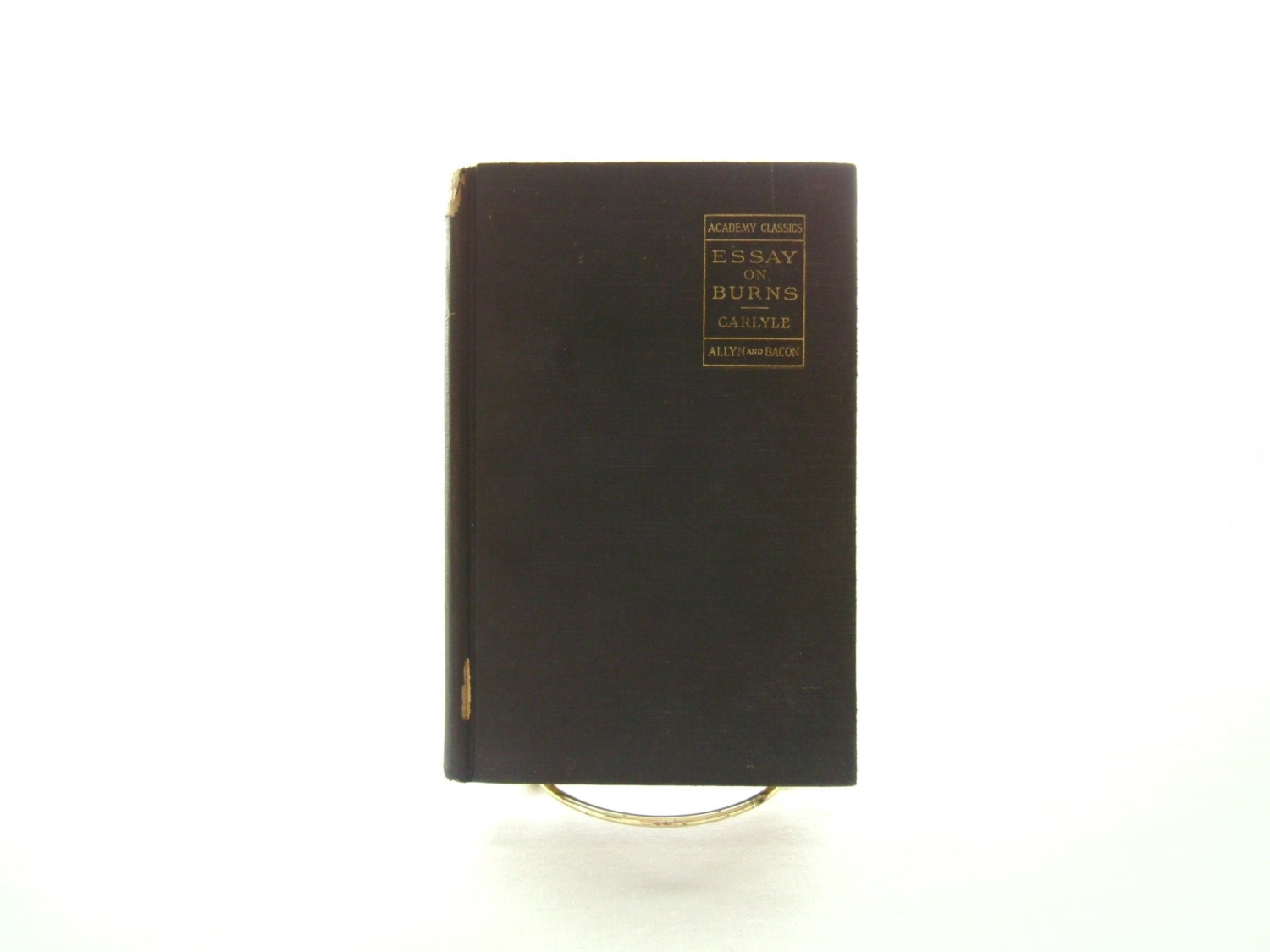 Essay on Burns -Allyn and Bacon