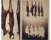Sunday - original etching mezzotint print of socializing ladies and hanging deer by Carrie Lingscheit
