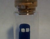 TARDIS in a Bottle