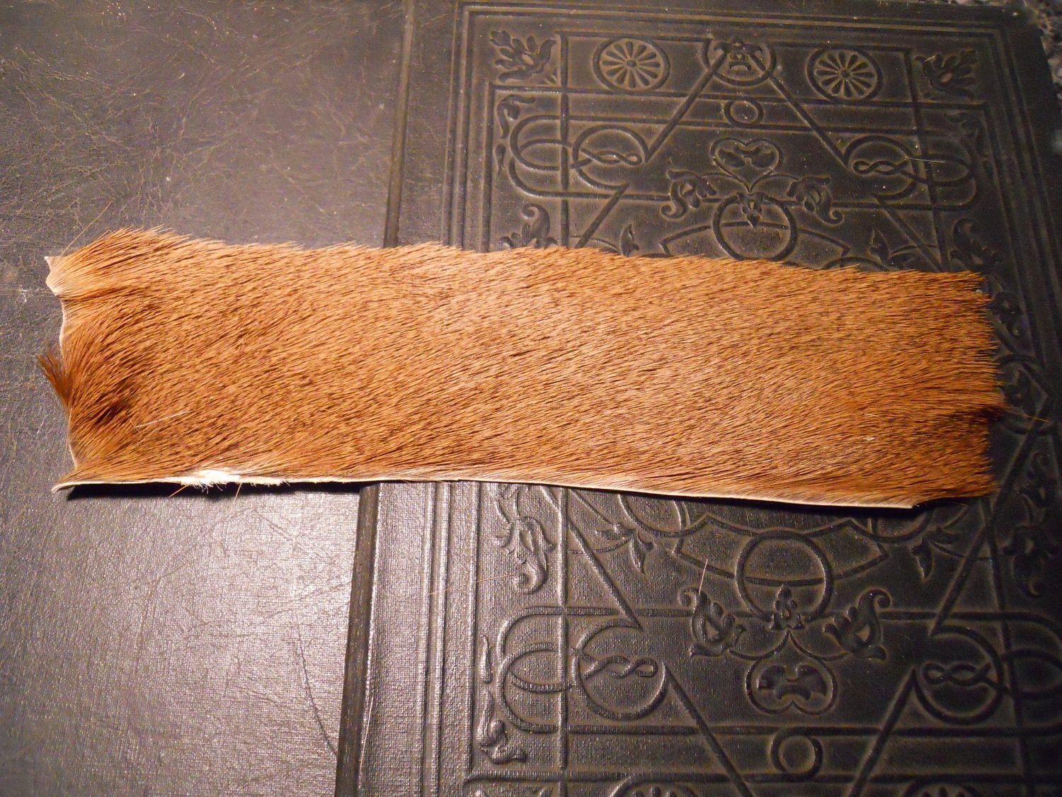 Impala Hide Leather Bookmark Safari Taxidermy Scrap Fur