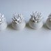 Succulent Sculpture in White Modern Faceted Geometric Container, Spring Tabletop, Wedding Centerpiece