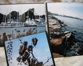 Back Creek - Annapolis, Maryland - Gift Set of 3 Note Cards