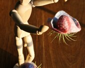Pair of handmade one of a kind merino wool cocoons with air plants as Christmas tree decoraiton