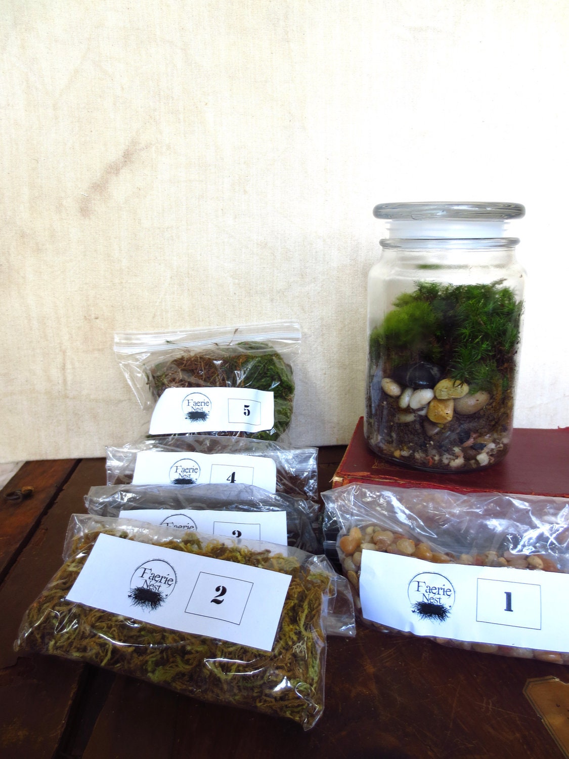 Large Moss Terrarium Kit with Jar DIY Terrarium Layers with Jar Moss Terrarium Kit Apothecary Jar Terrarium,  Live Moss Terrarium Layers