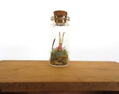 A Little Peace and Quiet...Fun Terrarium Miniature Aerium Tiny Terrarium Yoga Gift Glass Tube Terrarium Tiny Terrarium People