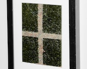 framed ROASTED SEAWEED and compositionally correct FLAXSEED stripes (Beautiful Organic Formalism for Home Decor) It's someone's birthday