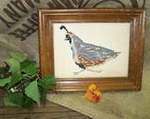 Quail Needlepoint Picture Bird Wall Hanging