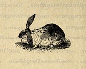 Antique Bunny Rabbit Digital Image Download Collage Sheet Easter Spring Printable Graphic for Transfers etc HQ 300dpi No.2742