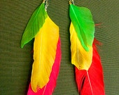 Caribbean colored feather earrings