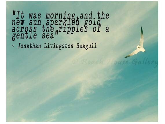 Jonathan Livingston Seagull Quotes. QuotesGram