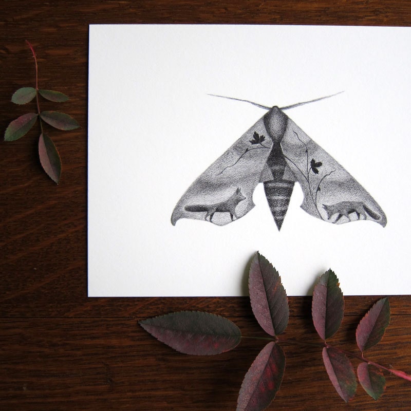 Sphinx Moth with Foxes - 5x7 print - Moth art