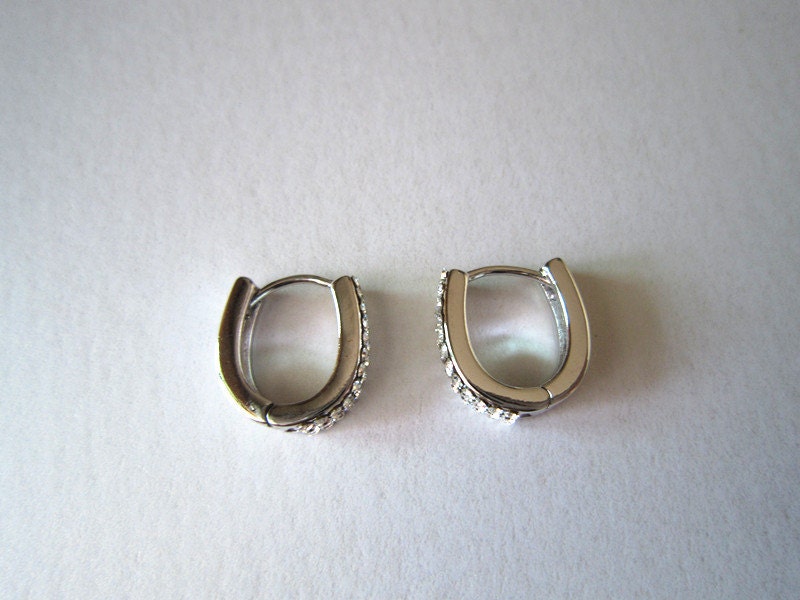 horseshoe earring