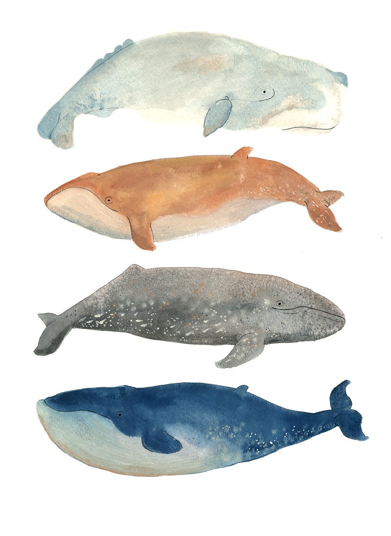 Whale Gang Print