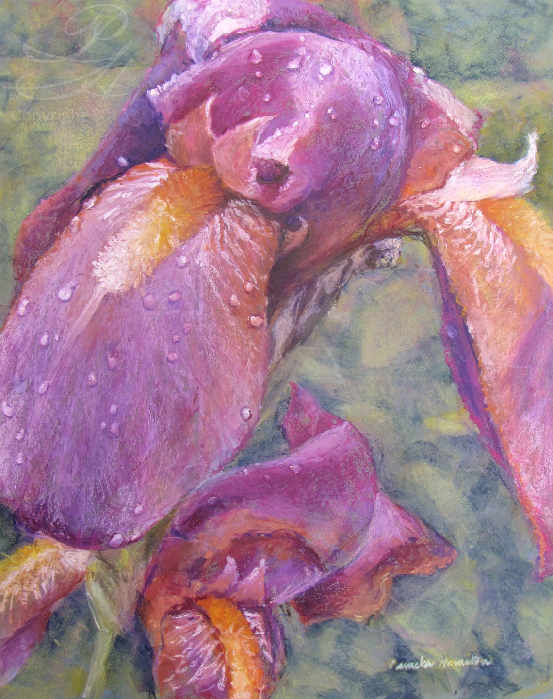 Original Oil Pastel, "Iris", 16" x 20" Oil Pastel on Pastelbord