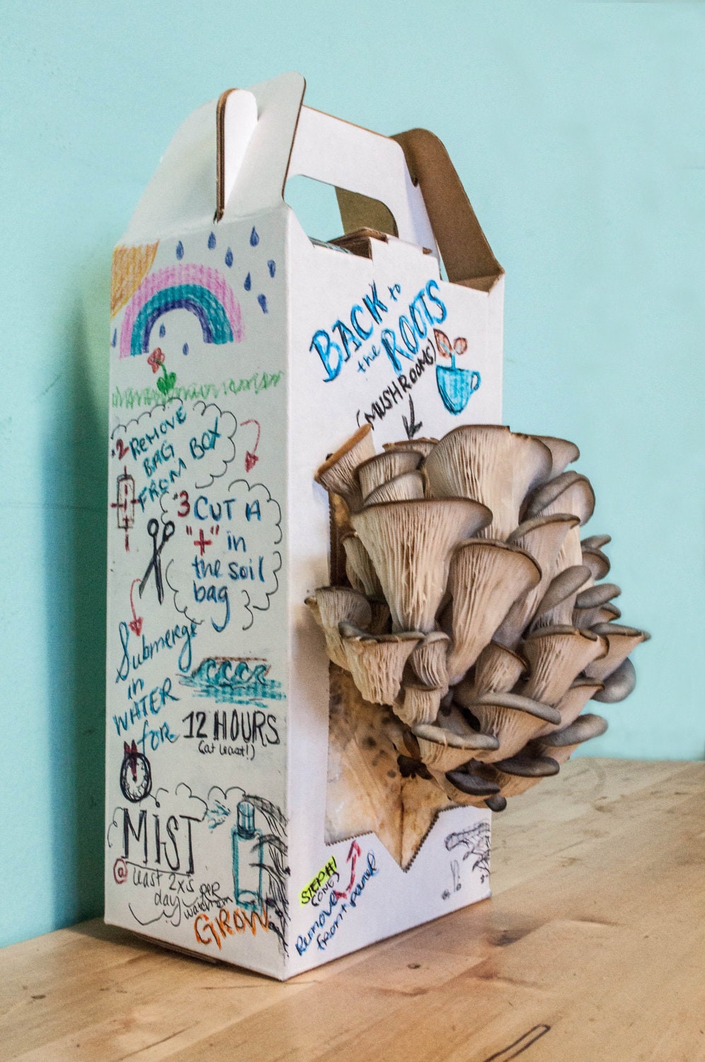Create Kit - Design-your-own Mushroom Garden
