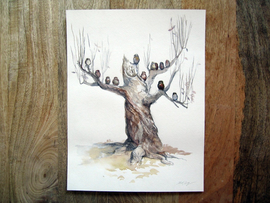 Owls (The Family Tree)