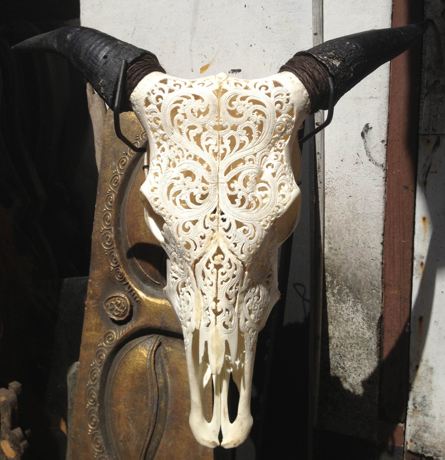SALE - Beautiful Hand Carved Steer/ Cow Skull with Horns/ Bull/ Longhorns/ Antique Buffalo Taxidermy - AntiqueArtCollection