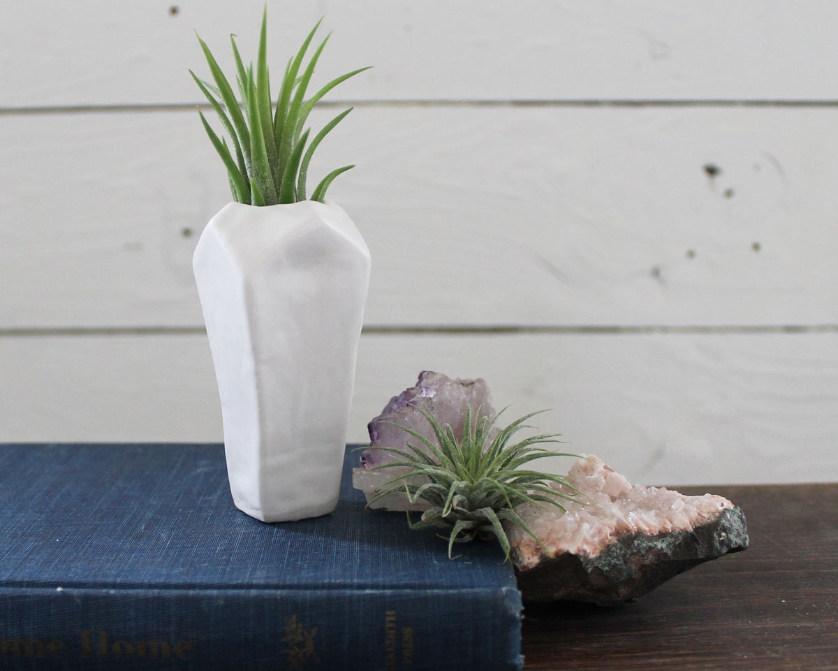 Faceted Porcelain Air Plant holder No.1 -Plant Included-