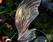 EBOOK PDF descarga e-mail - Haciendo Alas de Hada con Nenufar Blanco