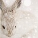 Snow Bunny - Nature Photography, Cute Nursery Art, Animal Print, Winter Snow, Rabbit, White, Beige, Neutral Decor, Minimal